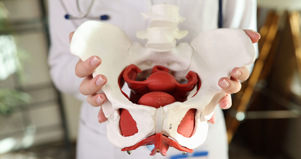 The Relationship Between Lower Back Pain and Pelvic Pain